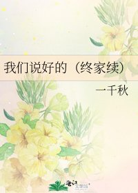 我们说好的(终家续)