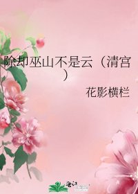 除却巫山不是云(清宫)