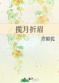 揽月折眉