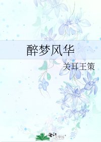 醉夢風華