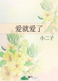 爱就爱了