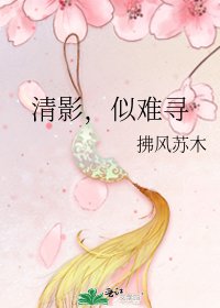 清影,似難尋
