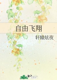 自由飞翔