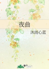 夜曲