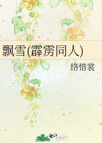 飘雪(霹雳同人)