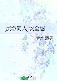 [庚澈同人]安全感