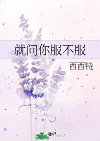 就問你服不服