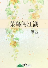 菜鸟闯江湖