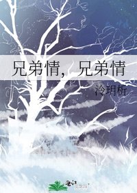 兄弟情,兄弟情