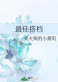 最佳搭档