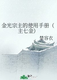 金光宗主的使用手冊(主七金)