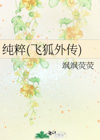 纯粹(飞狐外传)