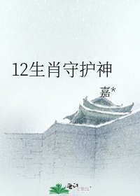12生肖守护神