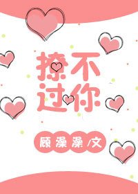 撩不過你