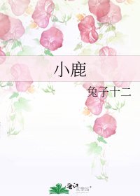 小鹿