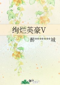 绚烂英豪V