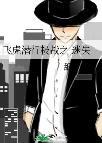 飞虎潜行极战之 迷失