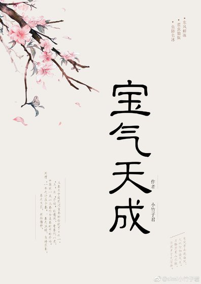 宝气天成