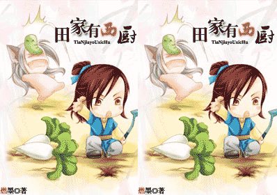 田家有西廚