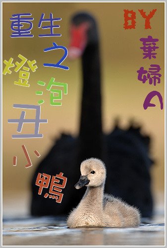 重生之灯泡丑小鸭
