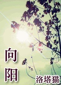 向阳