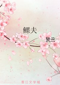 鳏夫