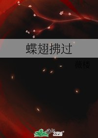 蝶翅拂过