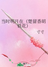 当时明月在(楚留香胡铁花)