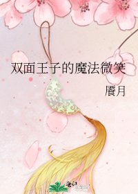 双面王子的魔法微笑
