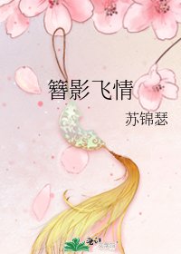簪影飞情
