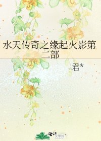 水天传奇之缘起火影第二部