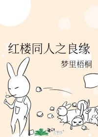 红楼同人之良缘