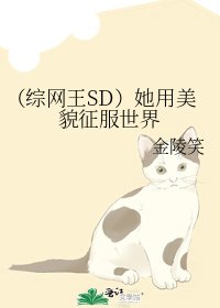 (综网王SD)她用美貌征服世界