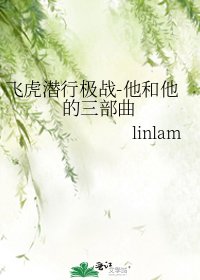飞虎潜行极战-他和他的三部曲