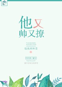 他又帥又撩