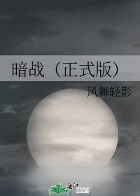 暗战(正式版)