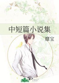 中短篇集