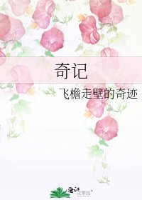 奇记