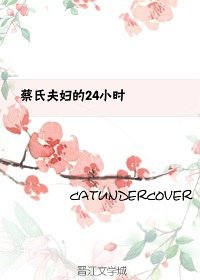 蔡氏夫婦的24小時(破冰行動)