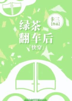茅穿之履茶翻車吼