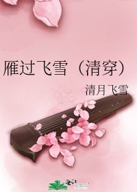 雁過飛雪(清穿)