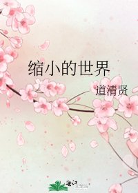 缩小的世界
