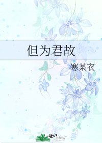 但为君故