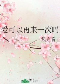 爱可以再来一次吗