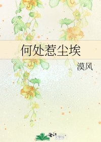 何處惹塵埃