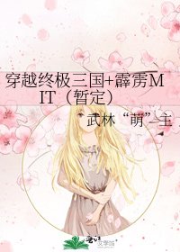 穿越终极三国+霹雳MIT(暂定)