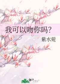 我可以吻你吗?