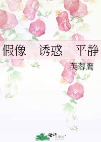 假像 诱惑 平静