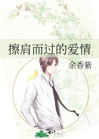 擦肩而过的爱情
