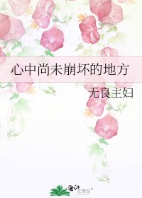 心中尚未崩坏的地方